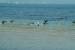 Pagina 19